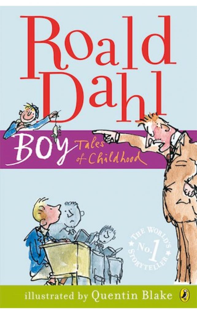 Boy by Roald Dahl