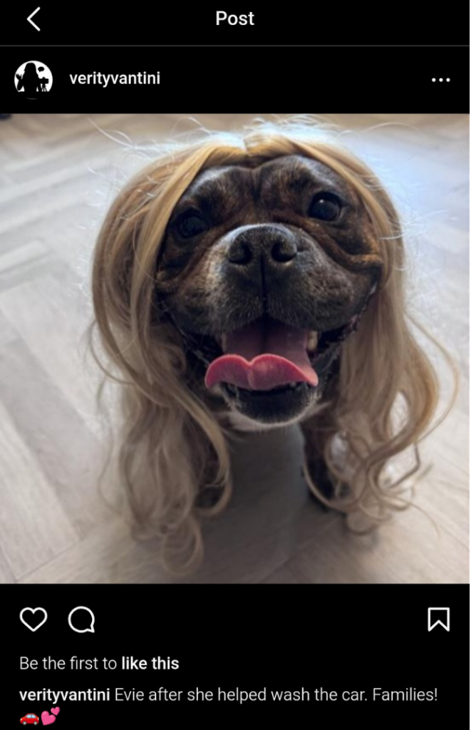 screenshot of instagram post: dog in long blonde wig, looking at camera