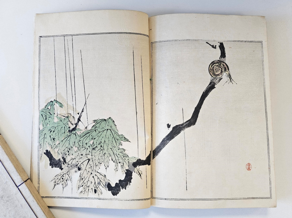 tree branch with green leaves and brown snail