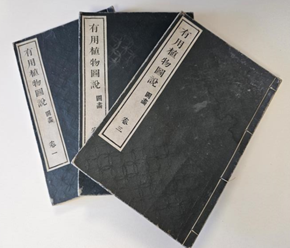 three grey books with white labels down the left hand side with Japanese characters