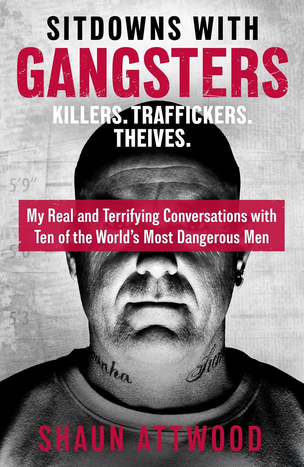 Sitdowns with Gangsters. Killers, Traffickers and Thieves. My real and terrifying conversations with ten of the world's most dangerous men by Shaun Attwood.