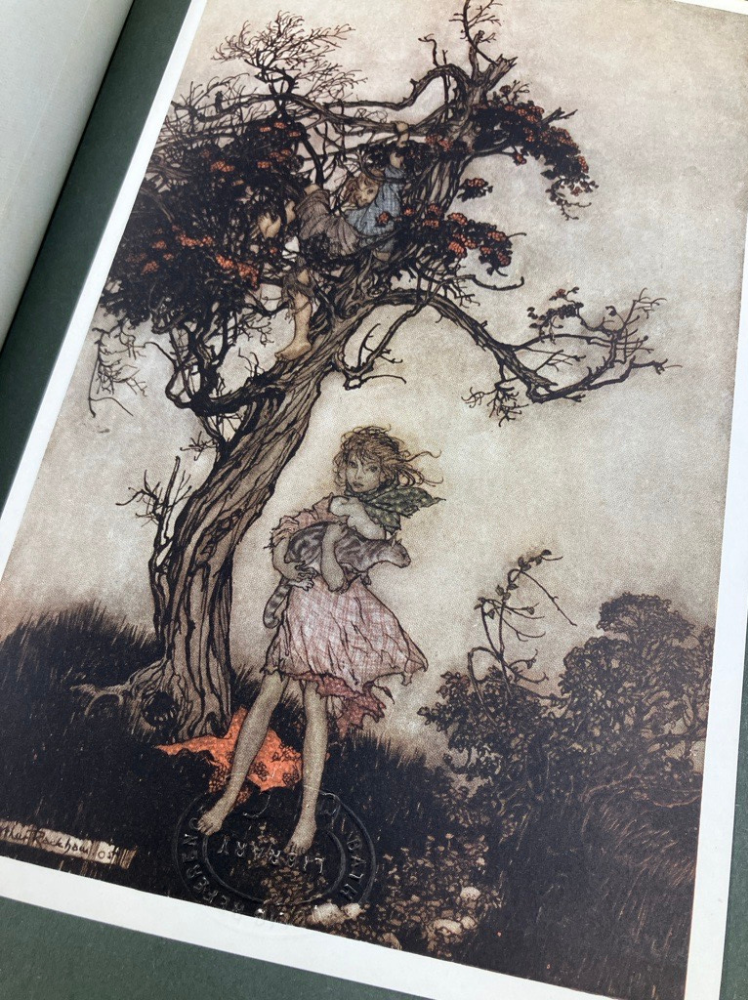 line drawing in dark tones of a windswept girl holding a cat under a tree